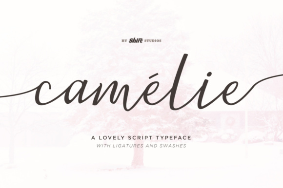 Camelie: The Bouncy Script Font for Scroll-Stopping Marketing