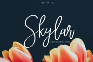 Skylar: The Versatile Typeface for Modern Brand Identity